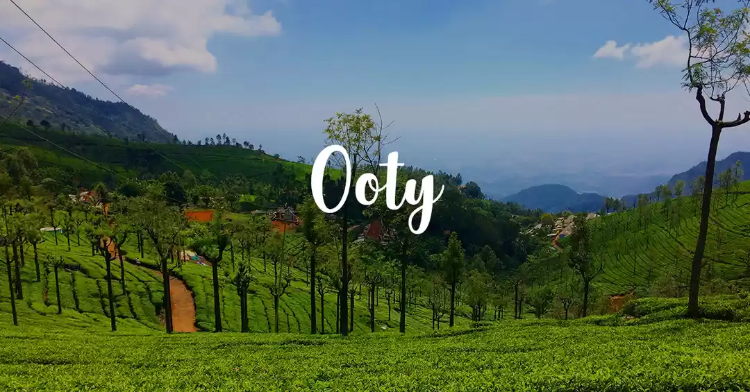 Ooty