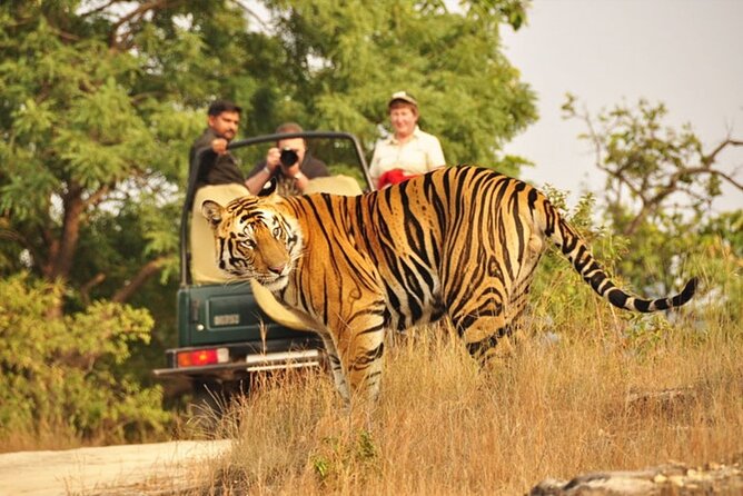 Ranthambore